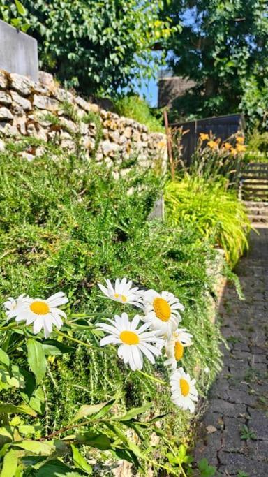 Maison Familiale : Charme & Nature