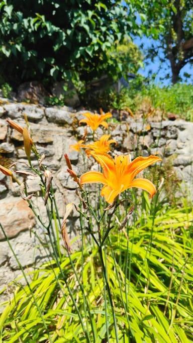 Maison Familiale : Charme & Nature Senlis (Oise)