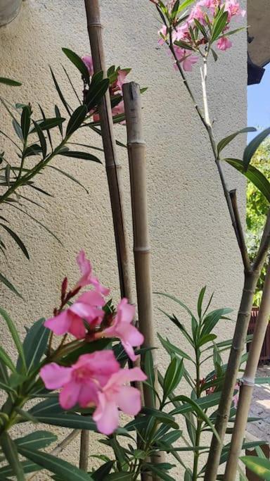 Hébergement de vacances Maison Familiale : Charme & Nature Senlis (Oise)